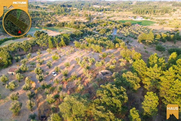 Terreno Agricola ou Rústico para Venda em Freixial e Juncal do Campo Foto 24