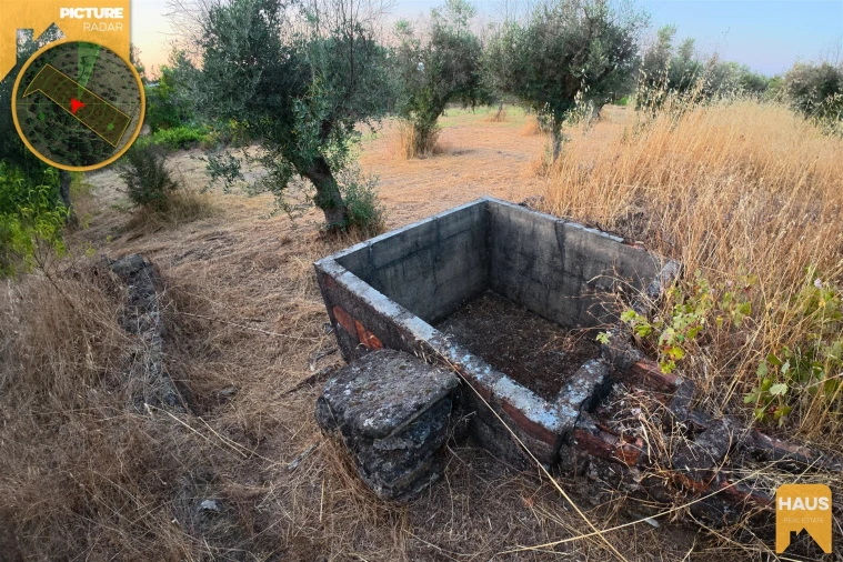 Terreno Agricola ou Rústico para Venda em Freixial e Juncal do Campo Foto 18