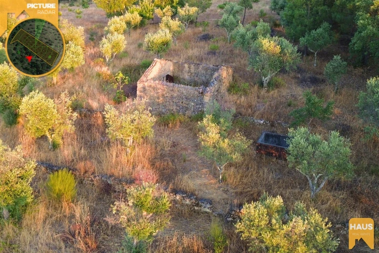 Terreno Agricola ou Rústico para Venda em Freixial e Juncal do Campo Foto 10