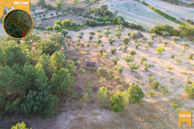 Terreno Agricola ou Rústico para Venda em Freixial e Juncal do Campo Foto 28