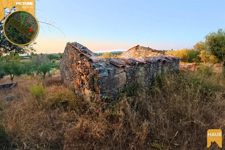 Terreno Agricola ou Rústico para Venda em Freixial e Juncal do Campo Foto 13