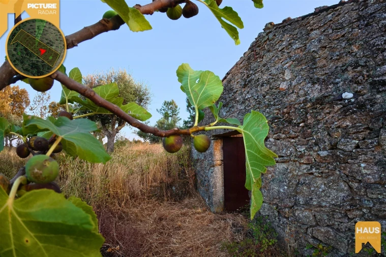 Terreno Agricola ou Rústico para Venda em Freixial e Juncal do Campo Foto 27