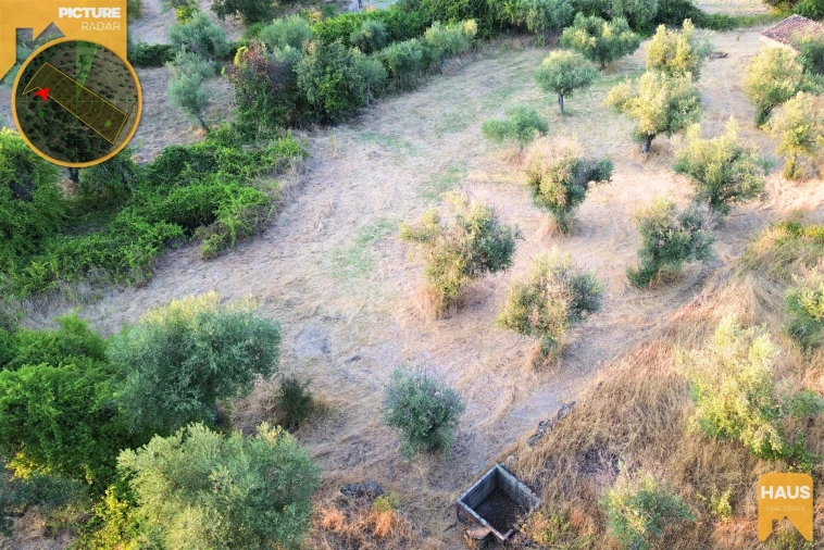 Terreno Agricola ou Rústico para Venda em Freixial e Juncal do Campo Foto 9