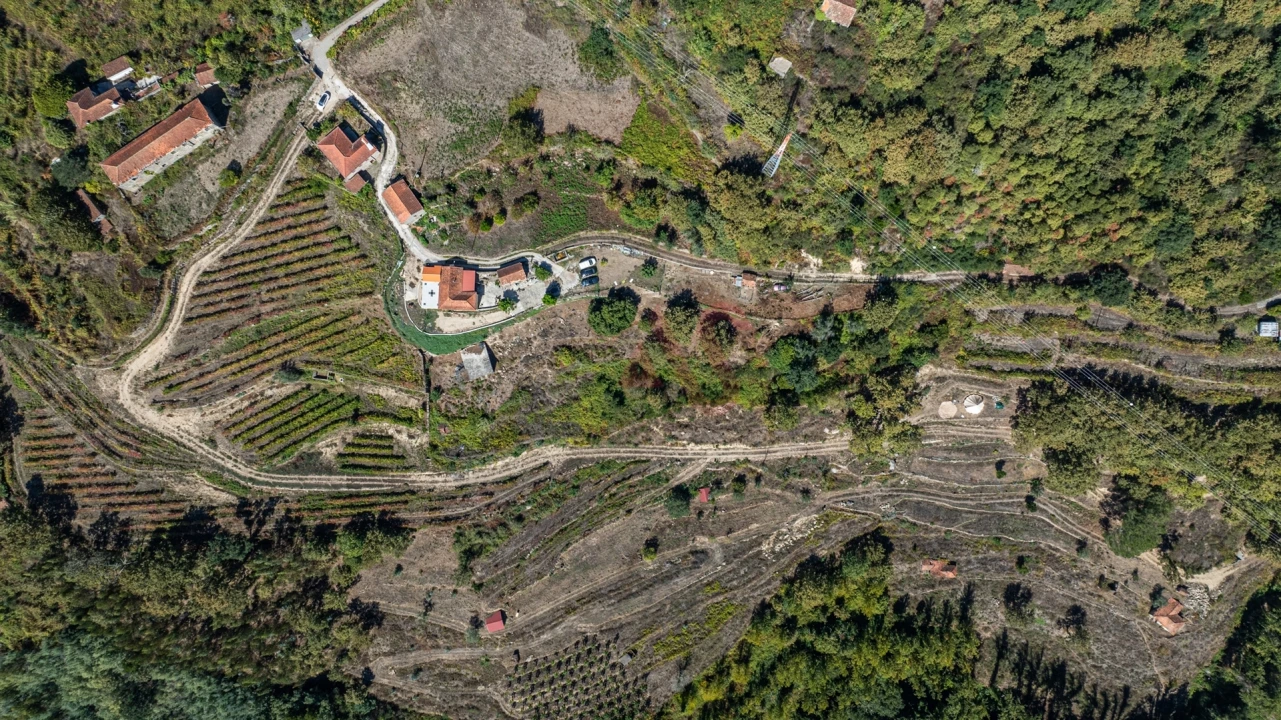 Quinta T3 para Venda em Souselo Foto 18