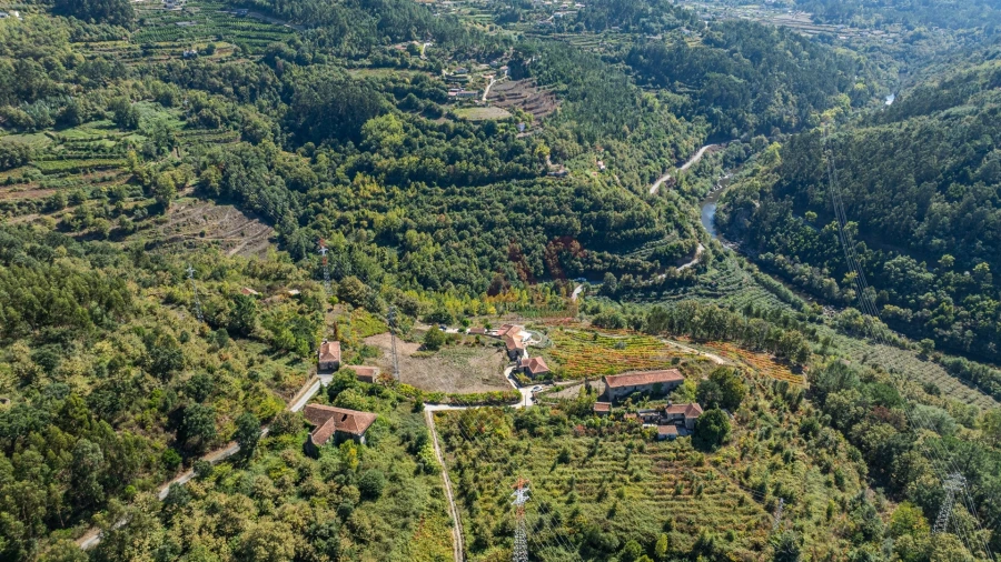 Quinta T3 para Venda em Souselo Foto 19