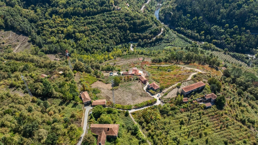 Quinta T3 para Venda em Souselo Foto 21