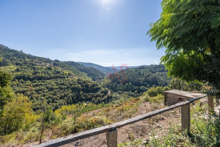 Quinta T3 para Venda em Souselo Foto 11