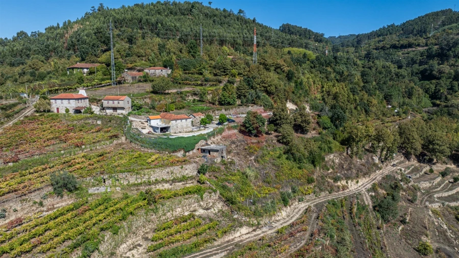 Quinta T3 para Venda em Souselo Foto 14