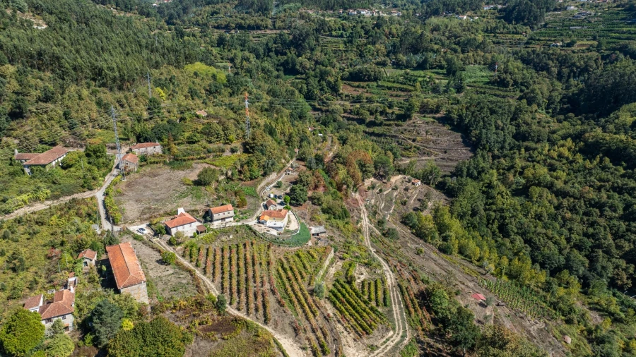 Quinta T3 para Venda em Souselo Foto 22