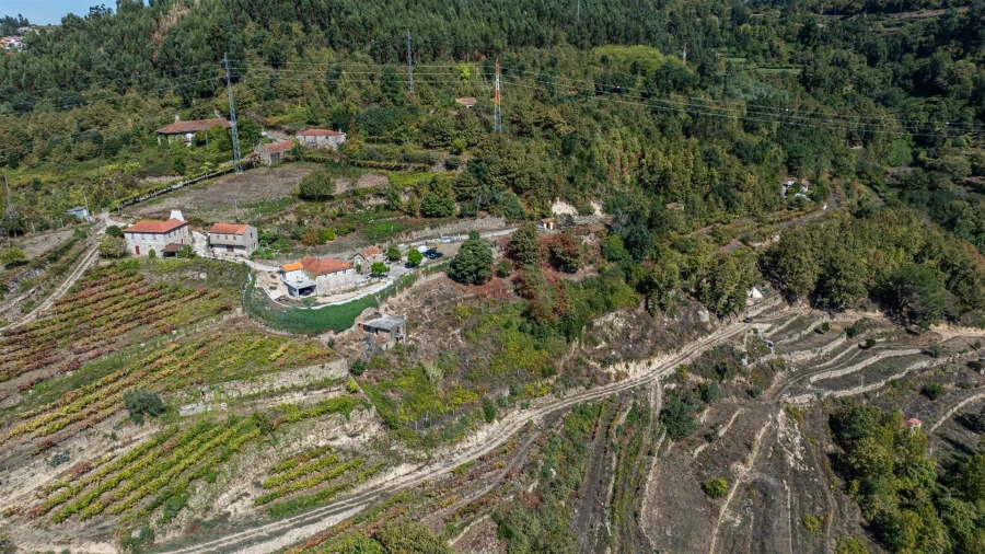 Quinta T3 para Venda em Souselo Foto 13