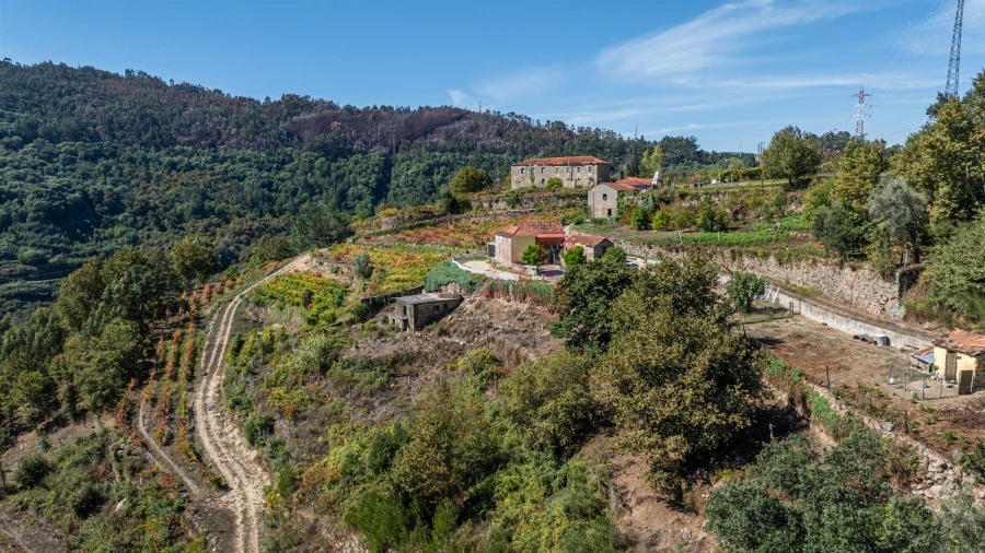 Quinta T3 para Venda em Souselo Foto 16