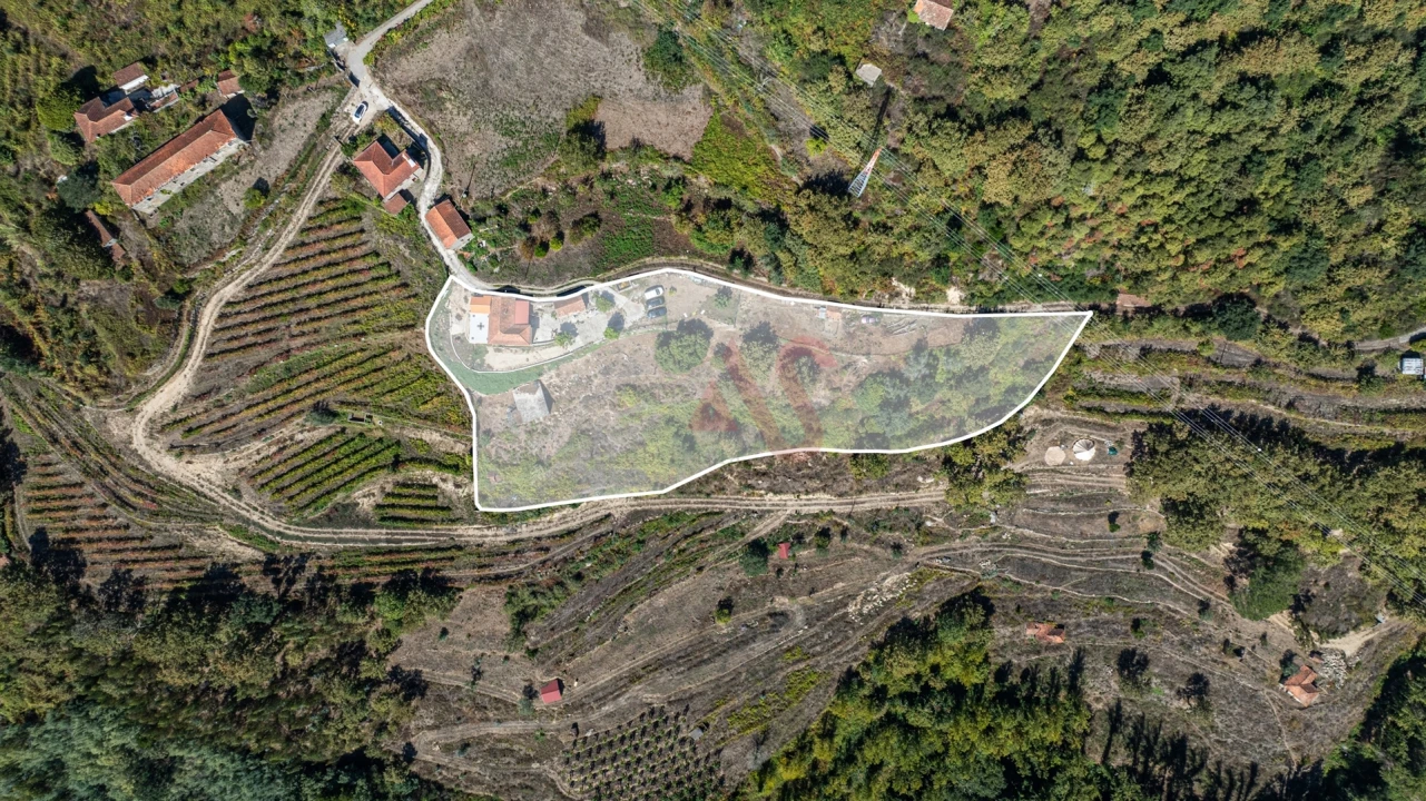 Quinta T3 para Venda em Souselo Foto 3