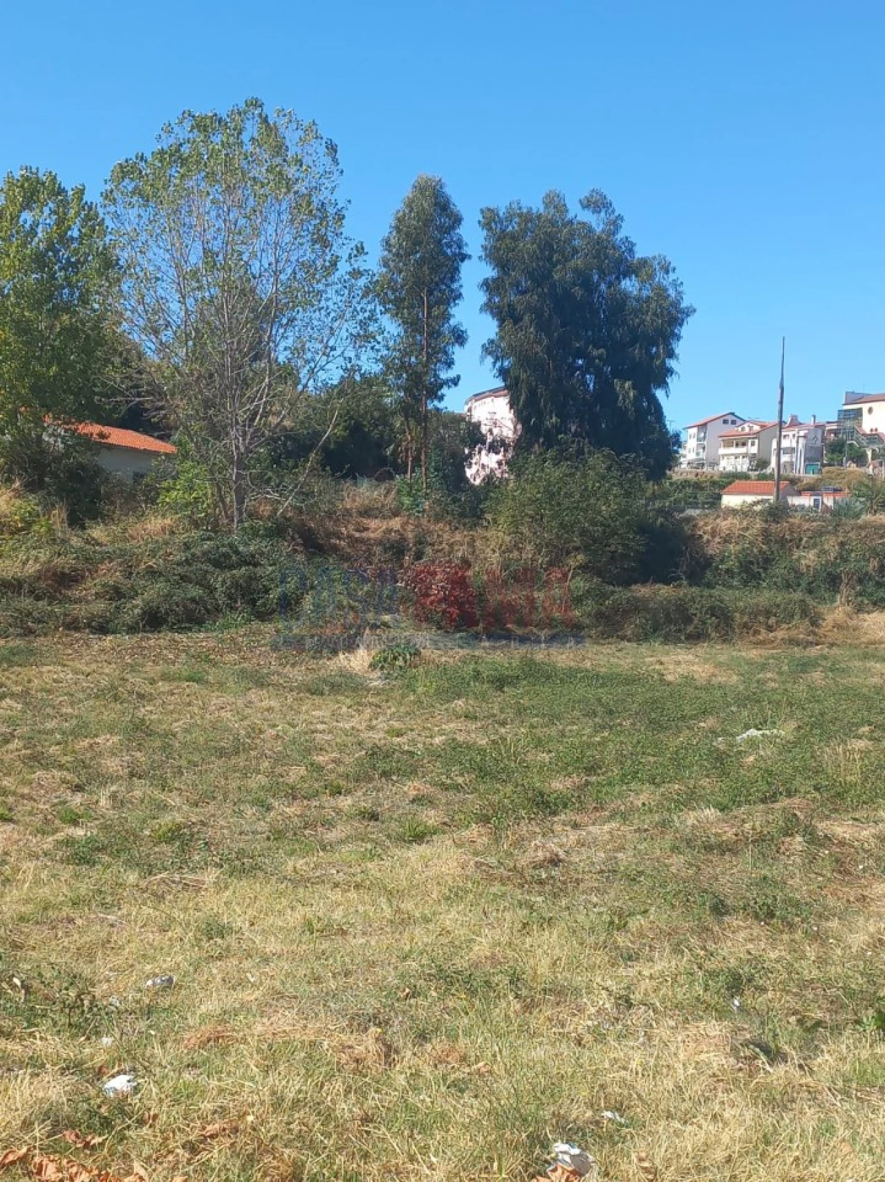 Terreno para Venda em Vila Flor e Nabo Foto 1