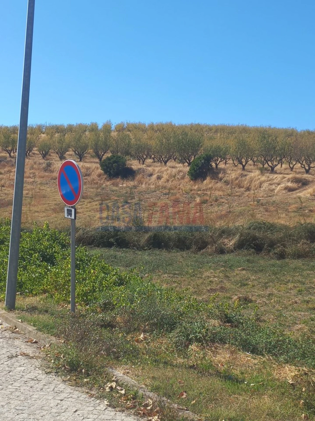 Terreno para Venda em Vila Flor e Nabo Foto 2