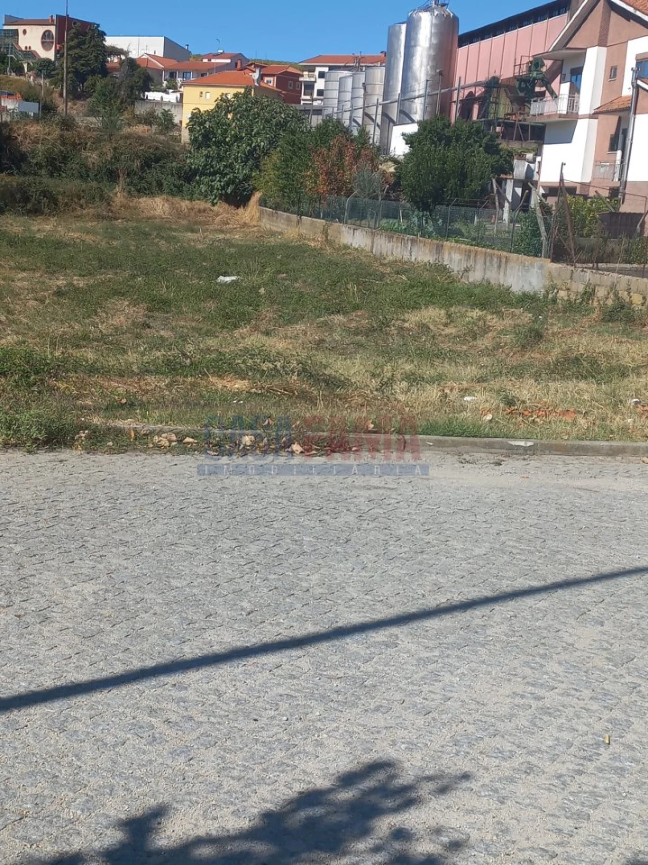 Terreno para Venda em Vila Flor e Nabo Foto 5