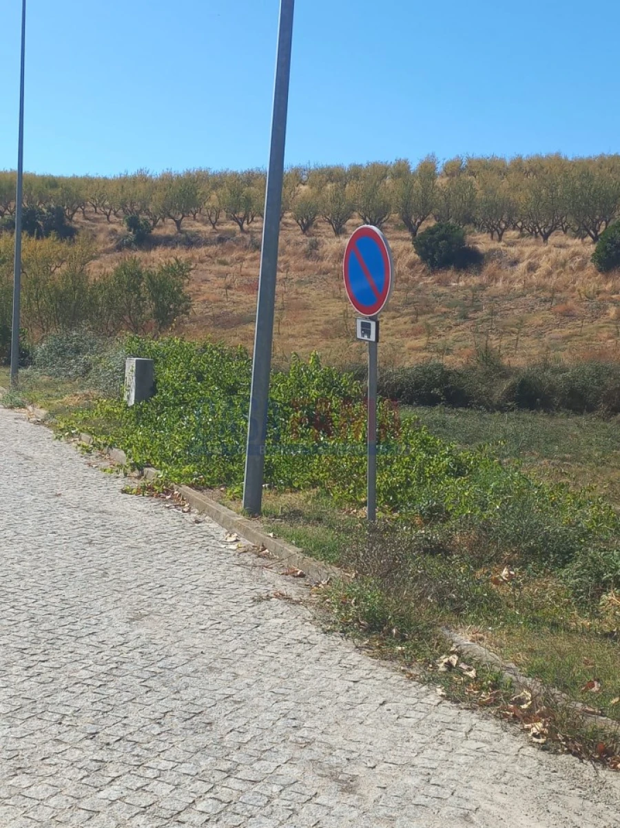 Terreno para Venda em Vila Flor e Nabo Foto 3
