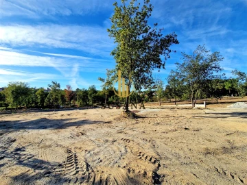 Terreno para Venda em Rio de Loba