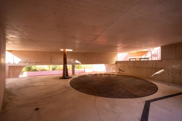 Apartamento T3 para Venda em Santa Maria Maior Foto 59