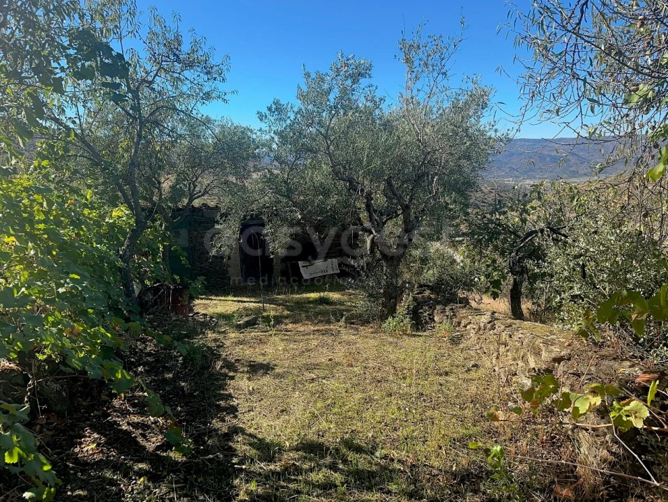 Quinta T1 para Venda em Torre de Moncorvo Foto 3