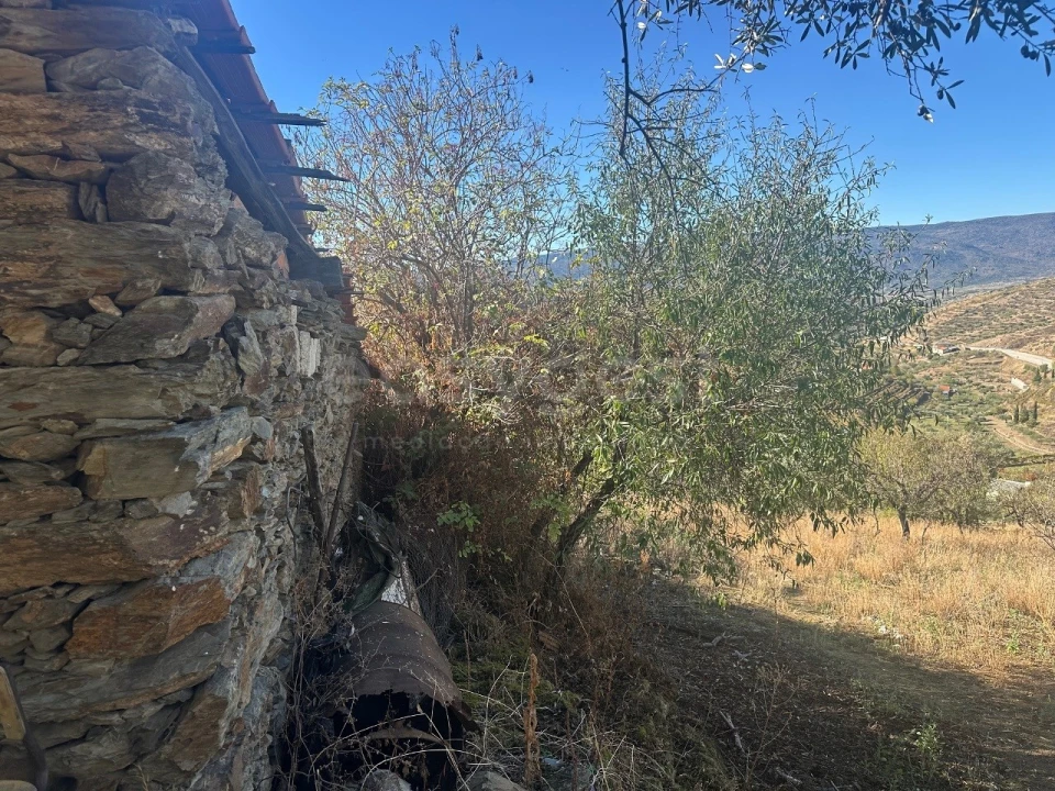 Quinta T1 para Venda em Torre de Moncorvo Foto 5