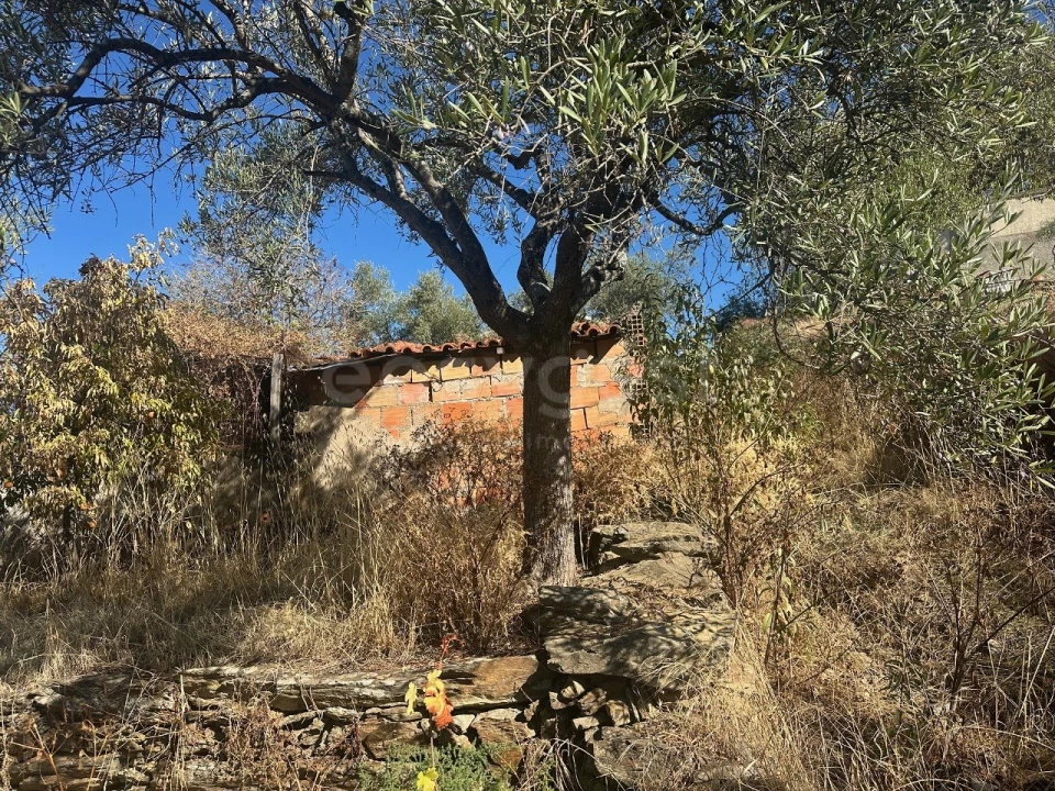 Quinta T1 para Venda em Torre de Moncorvo Foto 8