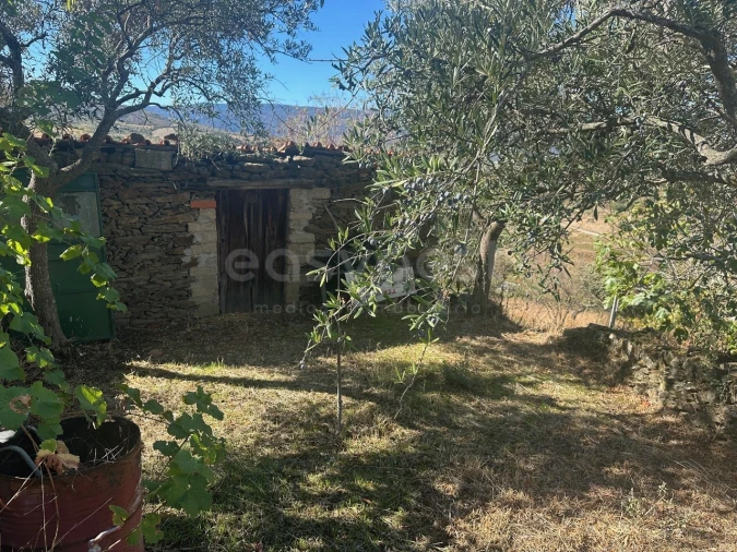 Quinta T1 para Venda em Torre de Moncorvo Foto 4