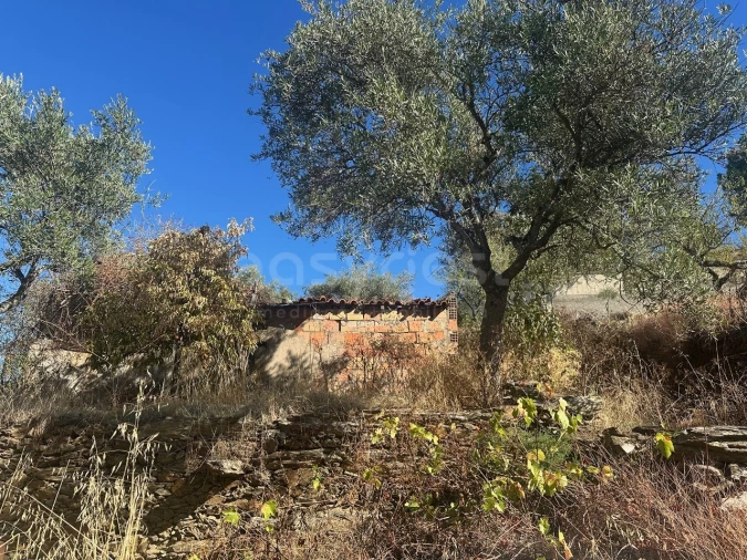 Quinta T1 para Venda em Torre de Moncorvo Foto 7