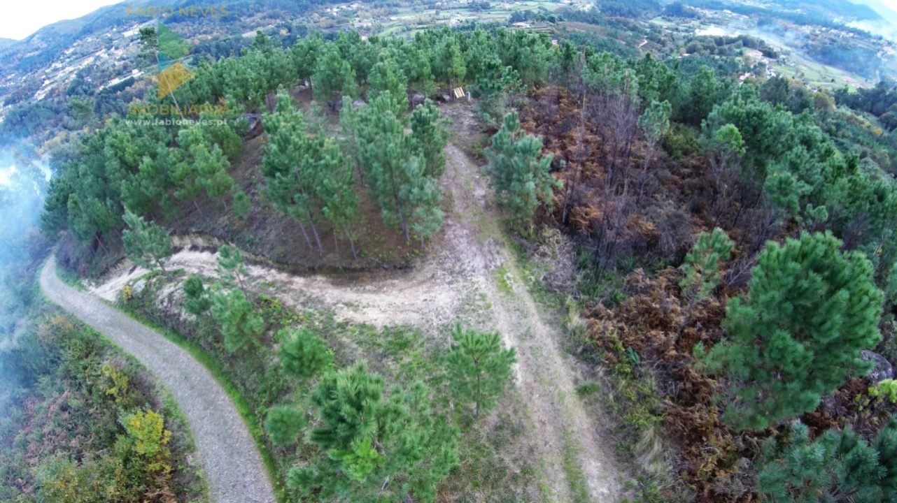 Terreno para Venda em Vale Foto 12
