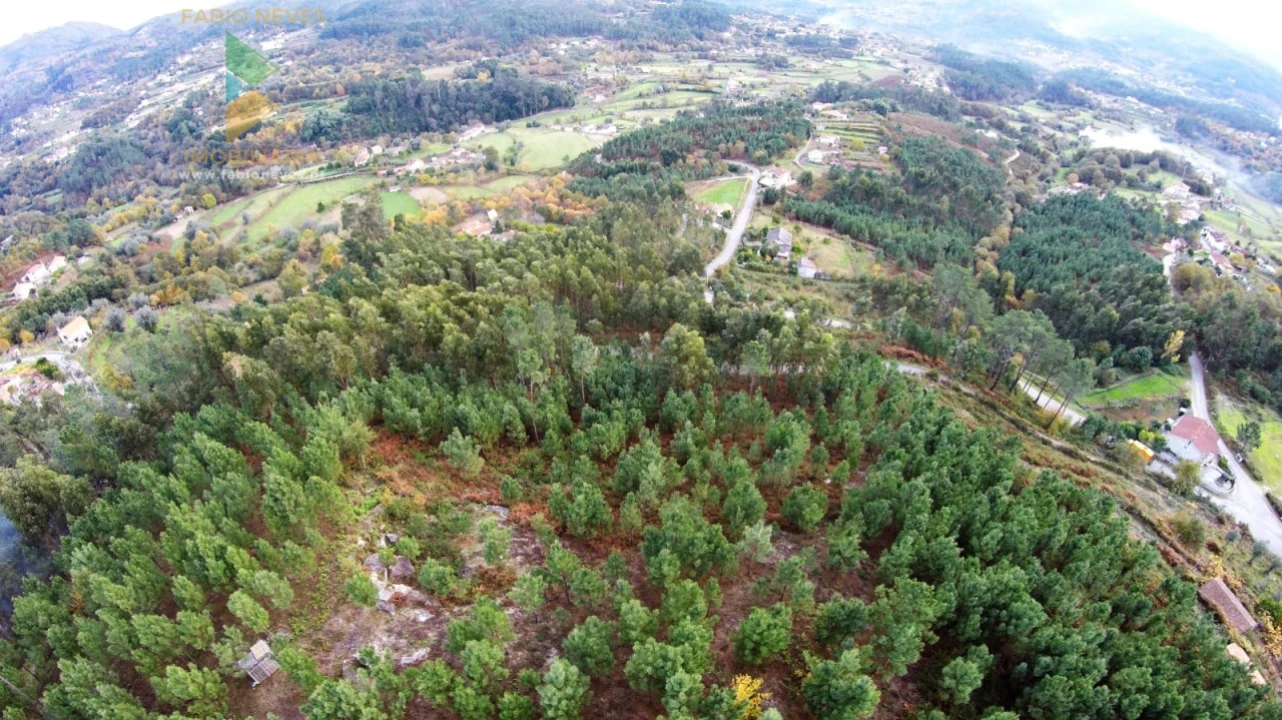 Terreno para Venda em Vale Foto 15