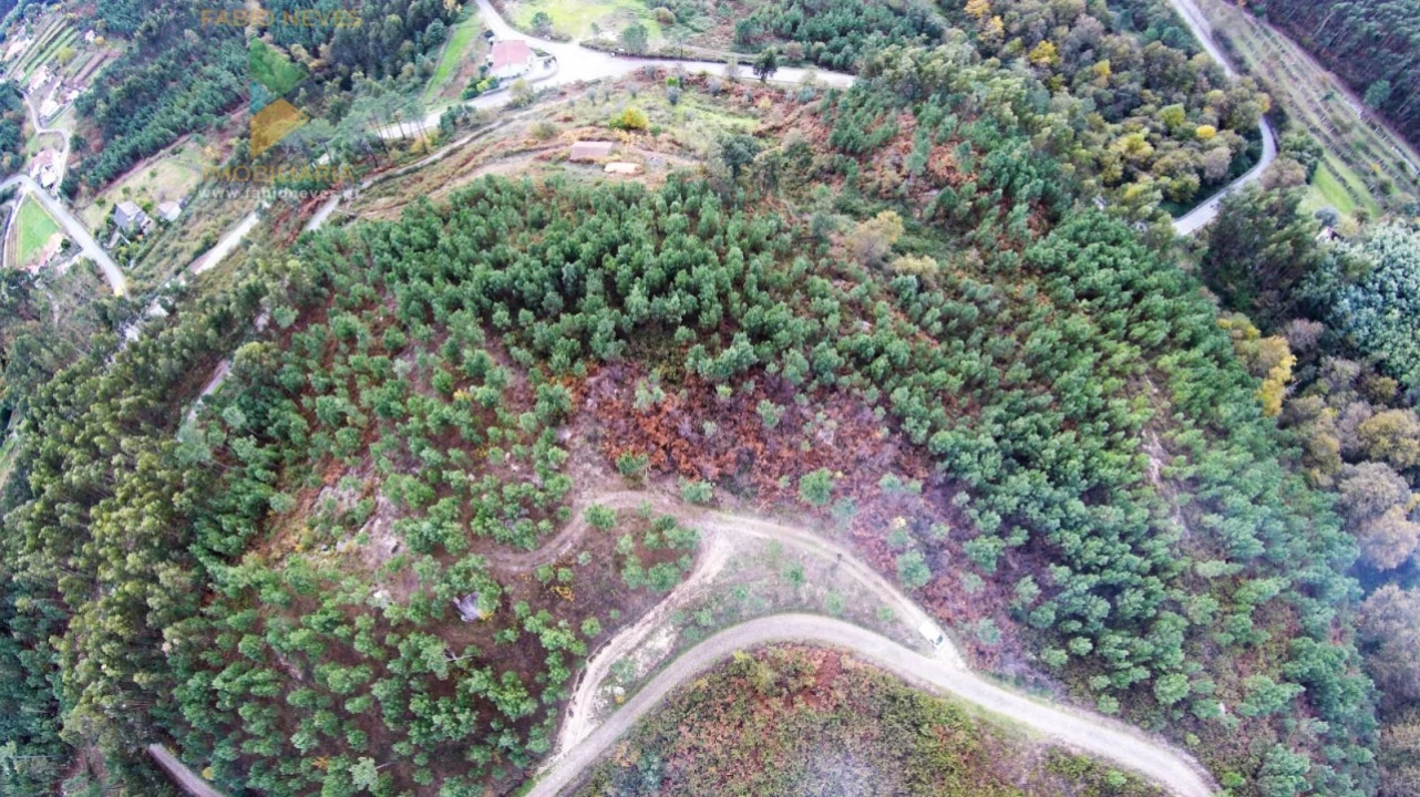 Terreno para Venda em Vale Foto 17