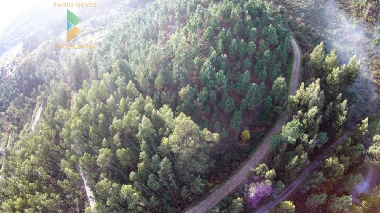 Terreno para Venda em Vale Foto 19