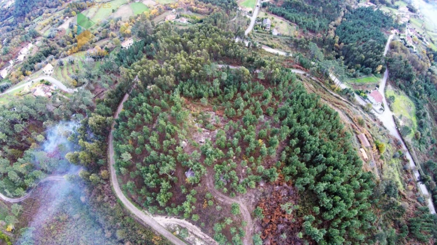 Terreno para Venda em Vale Foto 14