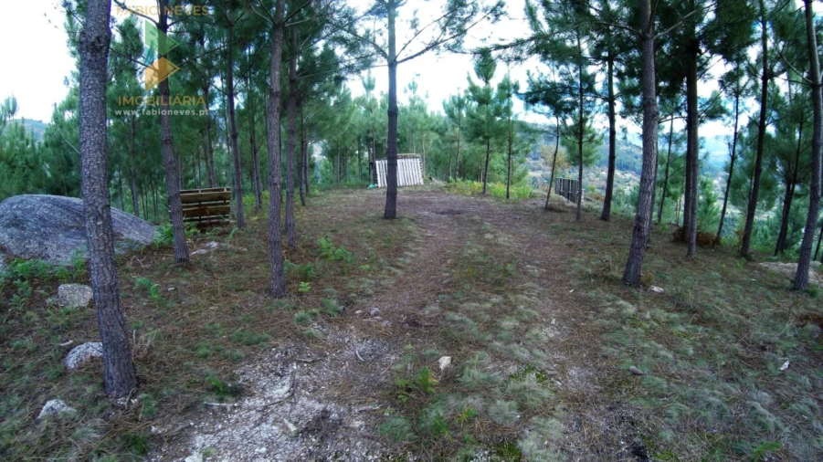 Terreno para Venda em Vale Foto 16