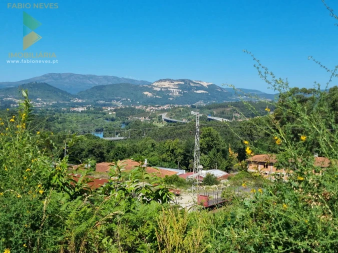 Terreno para Venda em Ribeira Foto 4