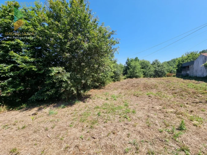 Terreno para Venda em Ribeira Foto 8