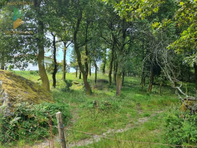 Terreno para Venda em Refoios do Lima Foto 7