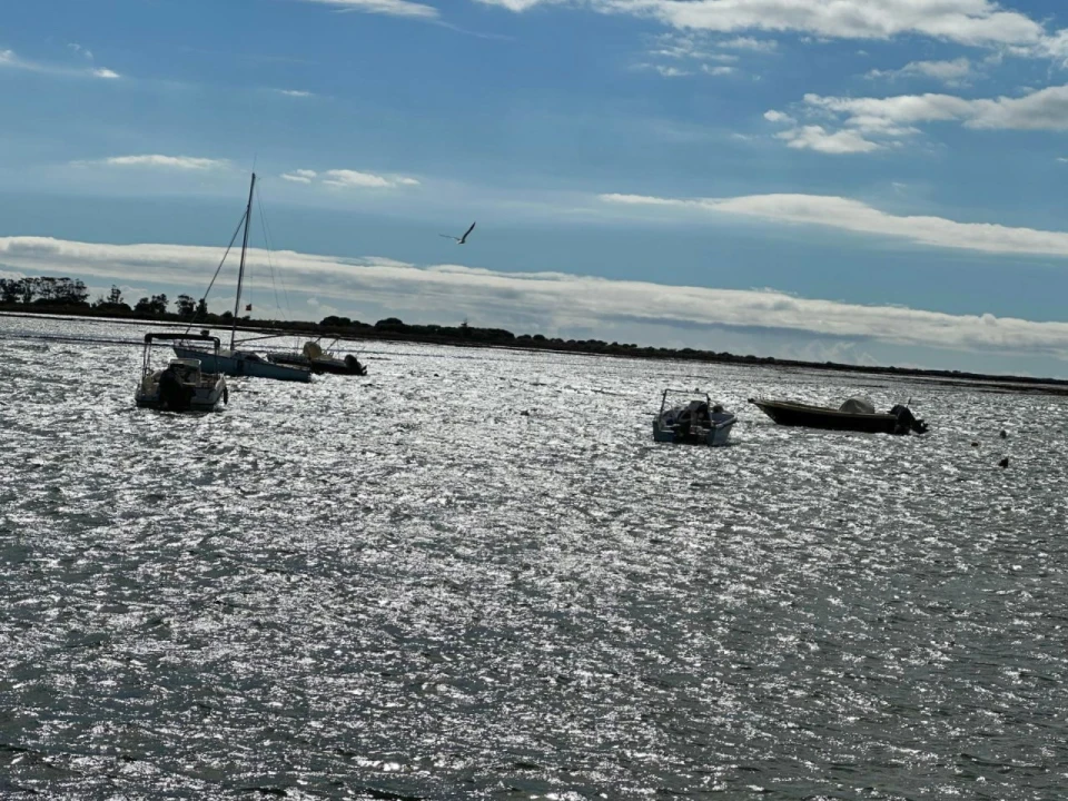 Moradia T1 para Venda em Luz de Tavira e Santo Estêvão Foto 21