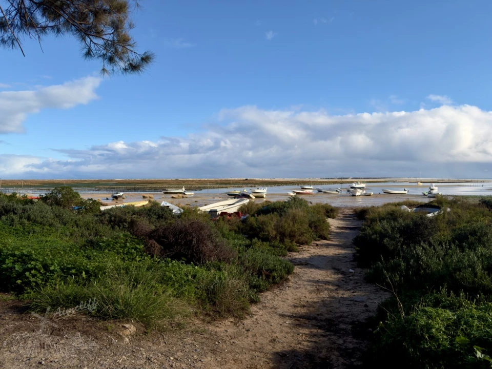 Moradia T1 para Venda em Luz de Tavira e Santo Estêvão Foto 1