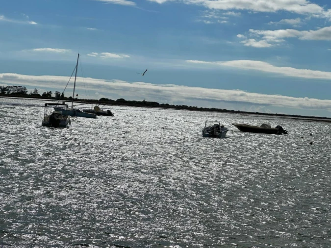 Moradia T1 para Venda em Luz de Tavira e Santo Estêvão Foto 19