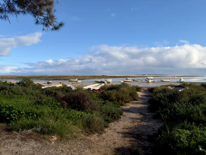 Moradia T1 para Venda em Luz de Tavira e Santo Estêvão Foto 1