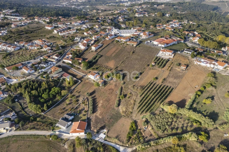 Terreno para Venda em Aljubarrota Foto 17