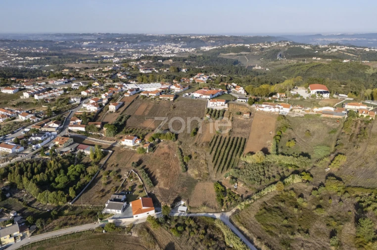 Terreno para Venda em Aljubarrota Foto 24