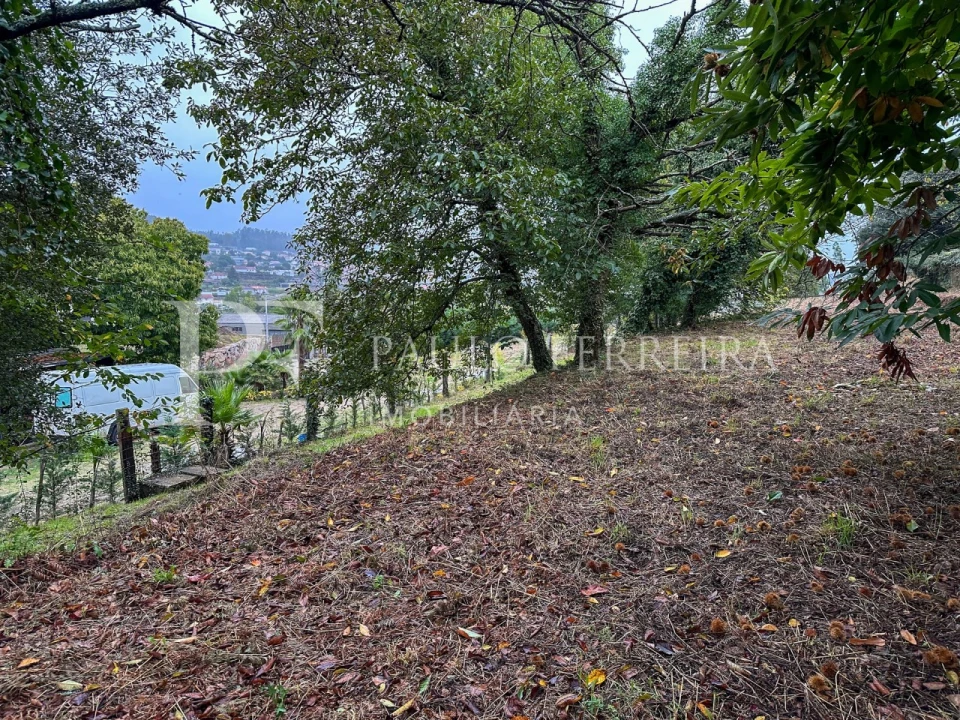 Terreno Agricola ou Rústico para Venda em Abade de Neiva Foto 6