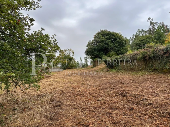 Terreno Agricola ou Rústico para Venda em Abade de Neiva Foto 2