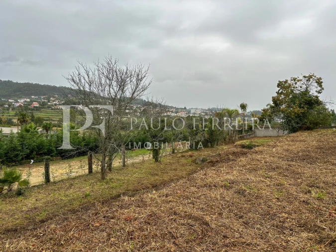 Terreno Agricola ou Rústico para Venda em Abade de Neiva Foto 3