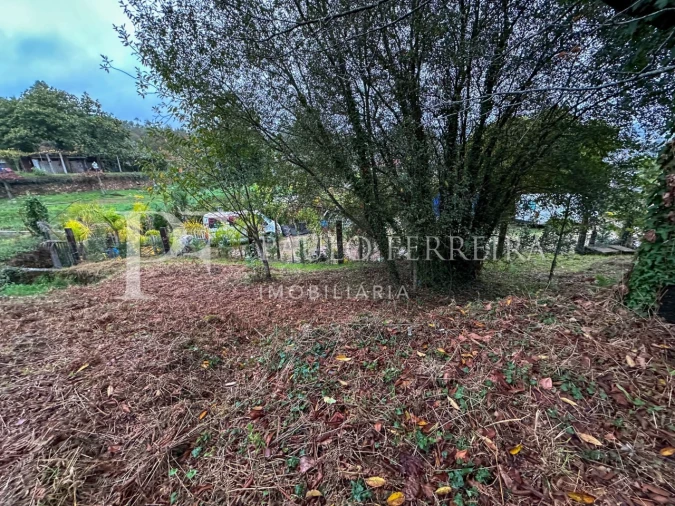 Terreno Agricola ou Rústico para Venda em Abade de Neiva Foto 4