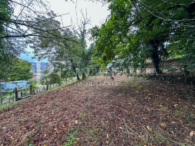Terreno Agricola ou Rústico para Venda em Abade de Neiva Foto 5