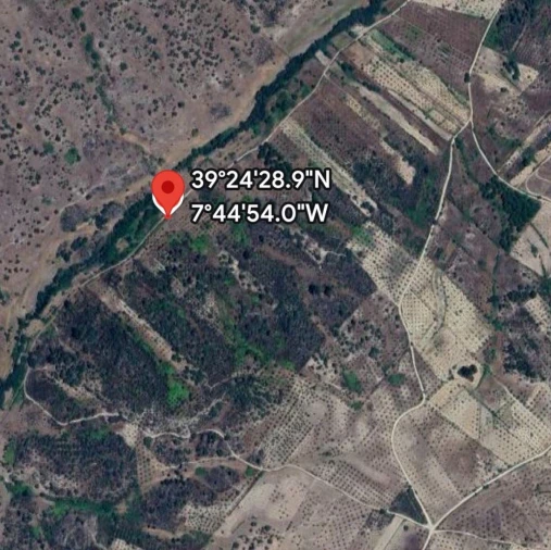 Terreno Agricola ou Rústico para Venda em Tolosa Foto 4