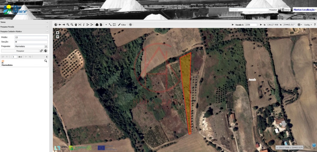 Terreno para Venda em Marmeleira e Assentiz Foto 5