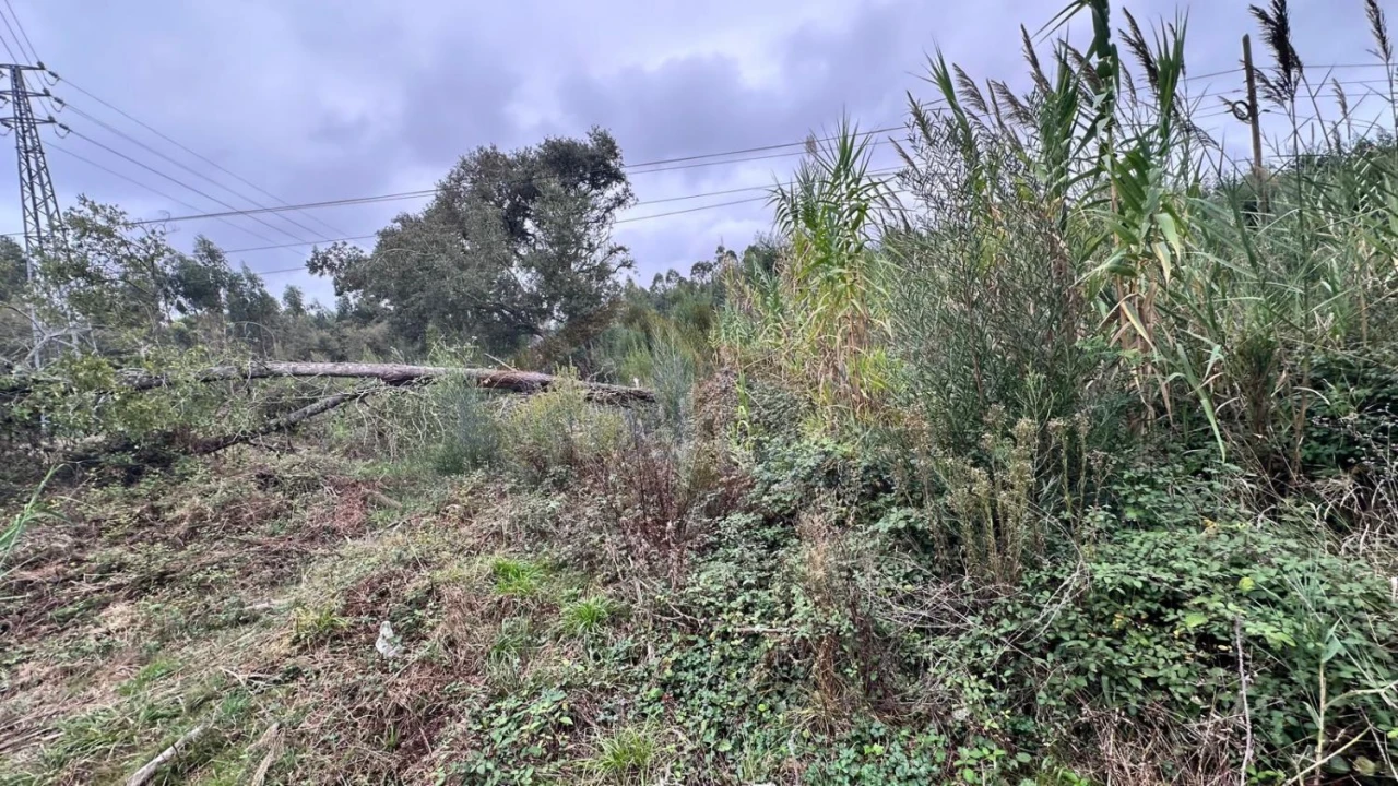 Terreno para Venda em Nossa Senhora do Pópulo, Coto e São Gregório Foto 11